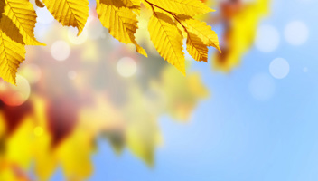 Autumn Budget What Impact Will The Changes To Inheritance Tax Have On Pension Scheme Members