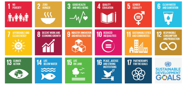 UN Sustainability Goals